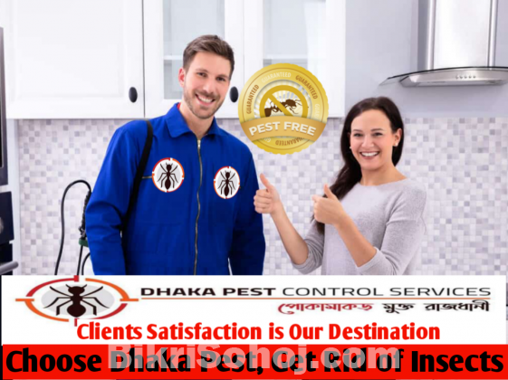 Termite Control Service Dhaka Bangladesh